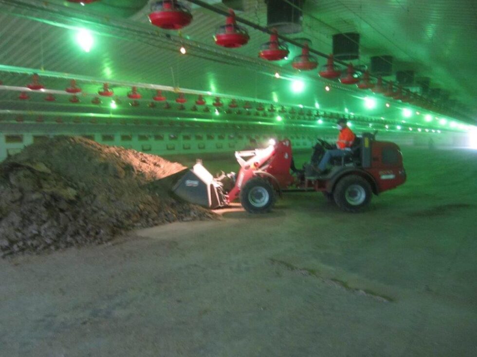 Poultry Litter Management Gamber Poultry Litter Ltd Gamber Ltd