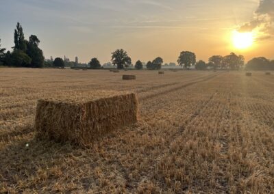 Gamber Ltd Feed Stock Straw